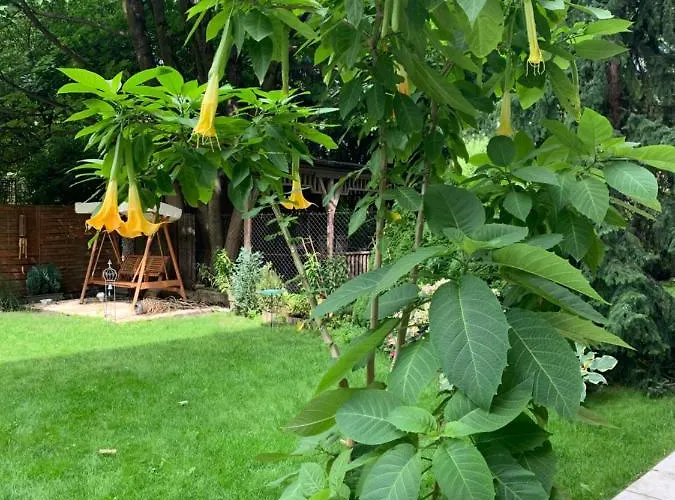 Appartement Cracow Bb